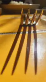 Shadow Of A Fork
